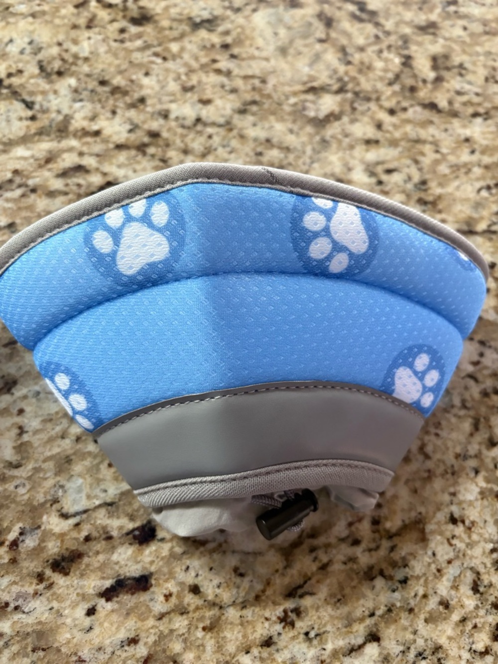 Adjustable Soft Padded Cat Collar - Blue Paw Print